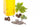 1kg  Castor Oil