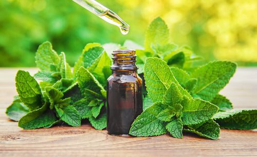 10ml Peppermint Essential Oil