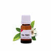 10ML Tea Tree Essential Oil