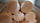1KG Vanilla Melt and Pour Glycerine Soap