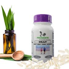 500mg Shilajit Capsules 60s