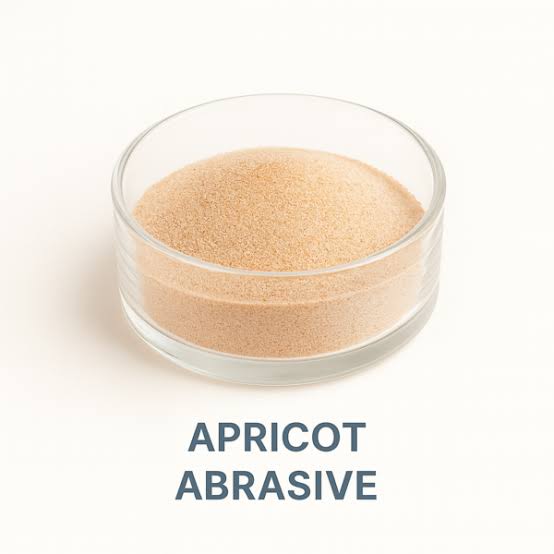 100g Apricot Abrasives