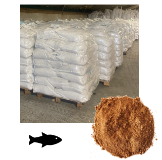 1kg Magnasweet MM100F