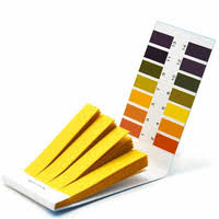 pH Test 80 Strips