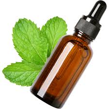 50ml Peppermint Essential Oil