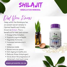 500mg Shilajit Capsules 60s