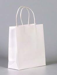 White Kraft Gift Bag Large Pack of 12